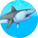 Helicoprion