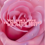 Maddie group! <3