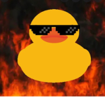Ducky trend