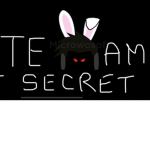 THE team secret
