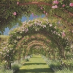 Herbal Gardens