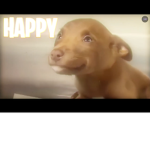 BUFFDOGE