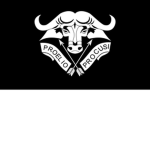 32 | 32 Battalion