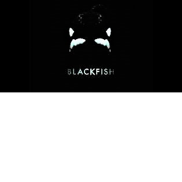 {Blakk Fish}'s Place Number: #
