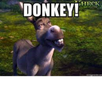 Donkey cu1t