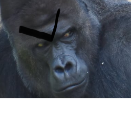 Steal from the apes!