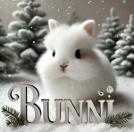 ୨୧ bunnii. ୨୧