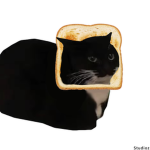 Cat Bread studioz