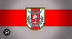 Türk Silahlı Kuvvetleri Branş