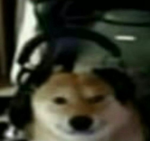 Isa cardashan uWu