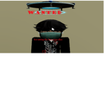 Ternet Ninja