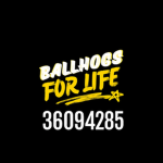 Ballhogs for life