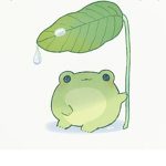 Frogs united together forever