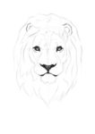 LION PRID3