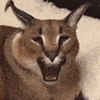 Find The Colors And Half Colors!