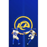 ZFL FOOTBALL FUSION LEAGUE (RAMS)