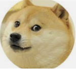 Doge man’s:)