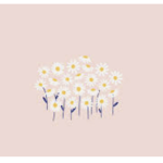 stars <3333