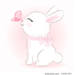 Rabbit cute bunny