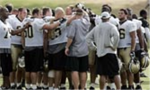 Fans of the New Orleans Saints