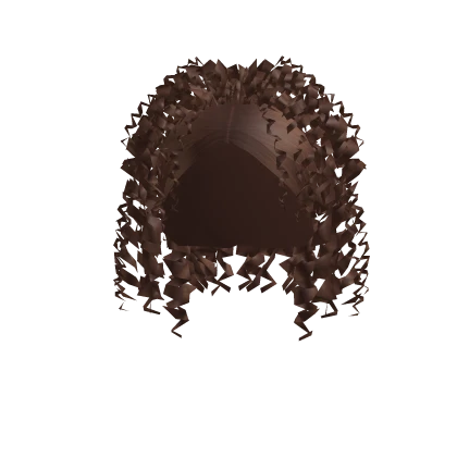 Roblox hair preview for Brown Sleek Curly Half n' Half
