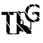 TheLightGang