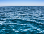 Fashion sea