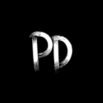 Pro Developer
