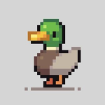 Auduckity