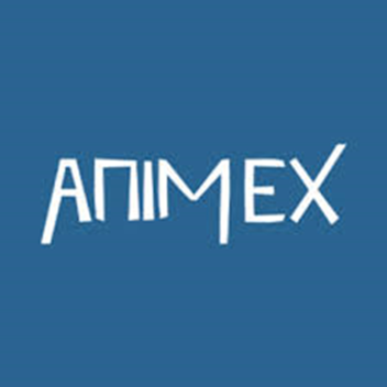 anime X