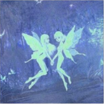 Fairy FELL0WS