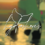 Hydro Shores