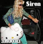 $iren