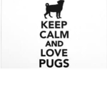 The hug pug fact