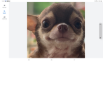 Hi7q