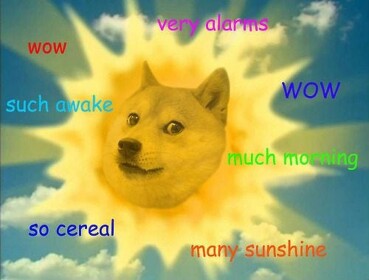Doge museum