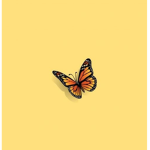 AestheticButterfly Clothes store