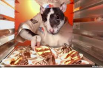 Rats united chefs