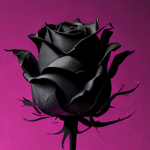 Black Яose
