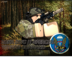 SWC | Special Worrior Command