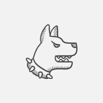 The Rabies Company