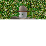 JungleCommandos