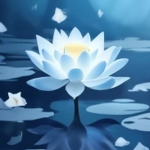 Frozen Lotus Studios