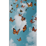 -The Butterfly Boutique-