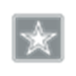 United States Army [DUSM]