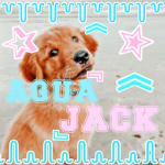 aquajack