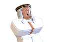 Robux group erwin