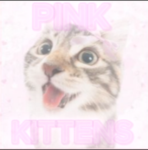 ~*Pink Kittens*~