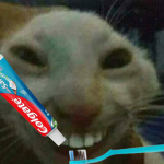 iTzFiNzAZa