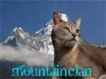 MountainClan * warrior cats*